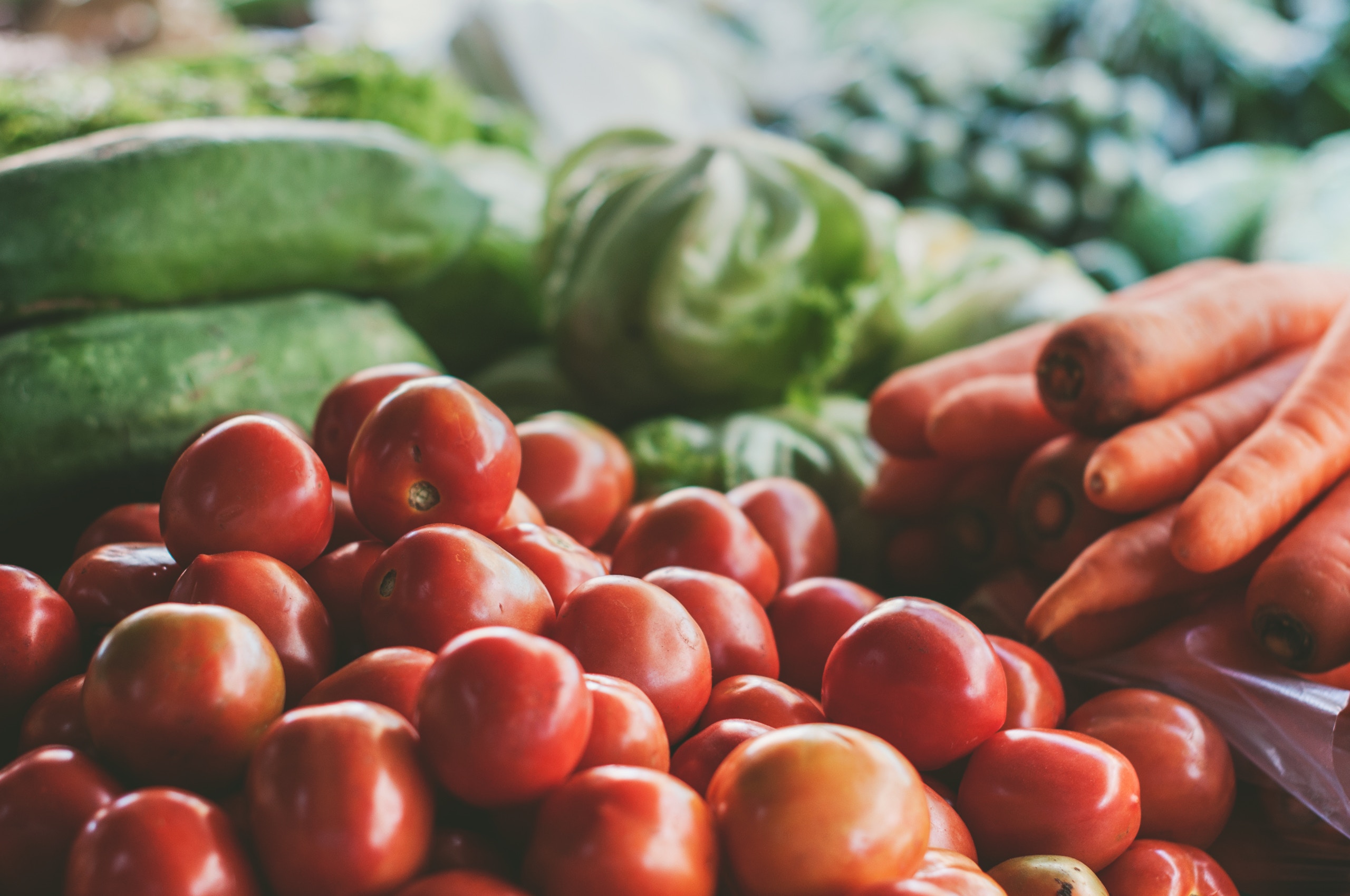Tomatoes, cucumbers, lettuce and carrots