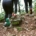 Three midlife women bushwalking