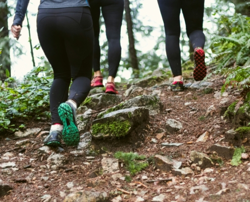 Three midlife women bushwalking