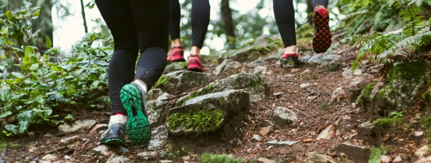 Three midlife women bushwalking